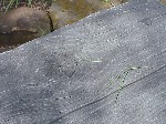 sep03-013.jpg