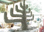 sep03-029.jpg